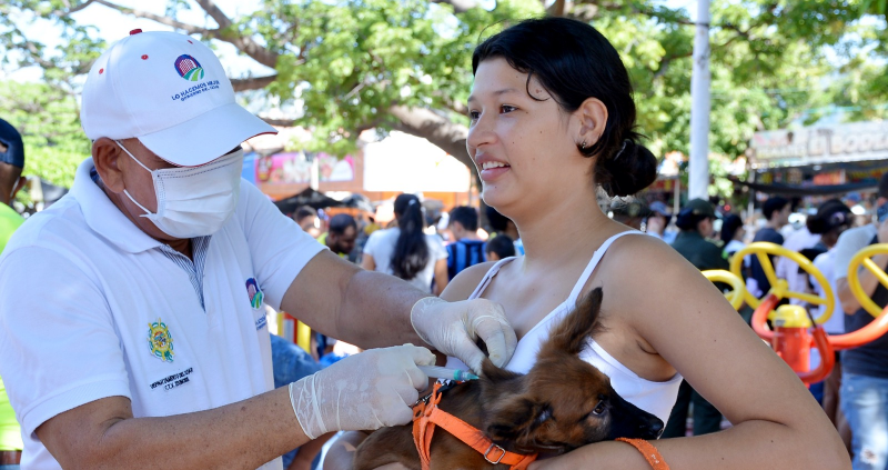 More than 600 pets were vaccinated against rabies