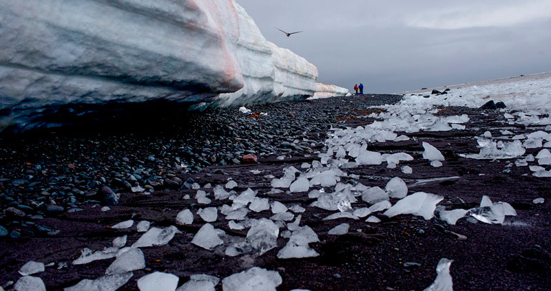 “The climate is warming”: they reveal that more than 40% of Antarctic ice shelves have shrunk