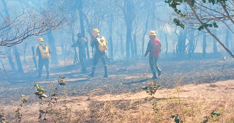 Rains calm fires in the foothills of the Sierra Nevada