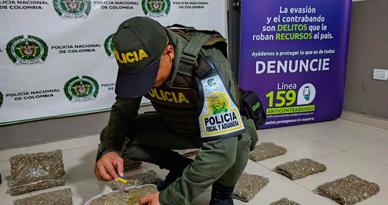 They seized 25 thousand grams of marijuana in Bosconia – EL PAÍS VALLENATO